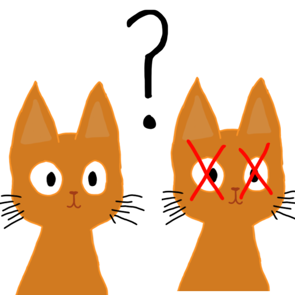 Two identical solid orange cats from the shoulder up with a question mark between them. Both caats are sitting up and looking straight ahead, but the cat on the right has a red X over each eye.